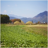 전남벌초대행 PC 갤러리 10